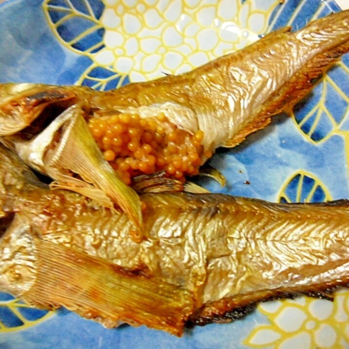 ダウンロード はたはた 塩焼き 1213 ハタハタ 塩焼き 下処理 Herminiadepue ダウンロード はたはた 塩焼き 1213 ハタハタ 塩焼き 下処理 Herminiadepue
